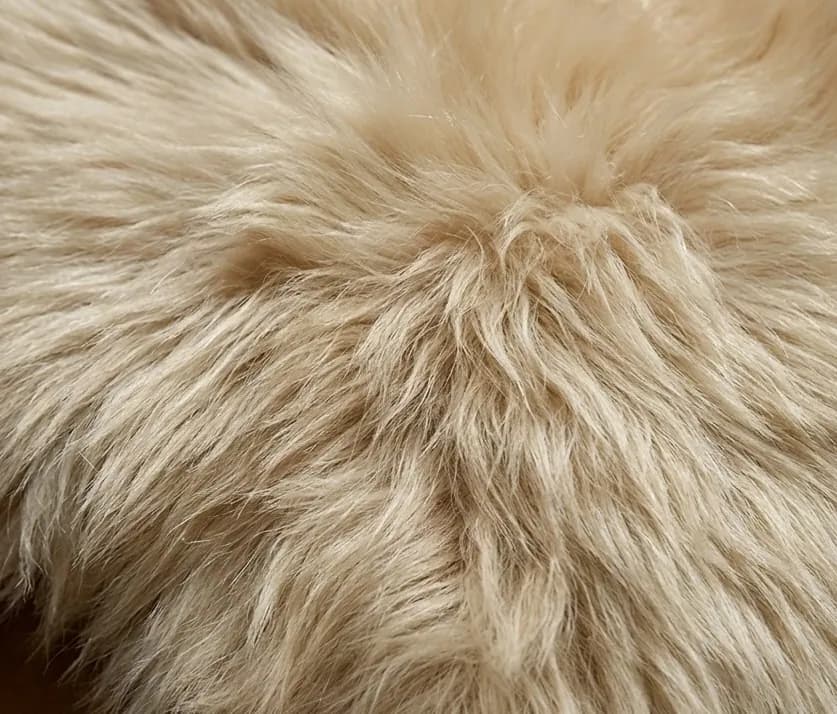 Close-up of long, silky black Toscana lambskin fur with luxurious glossy shine